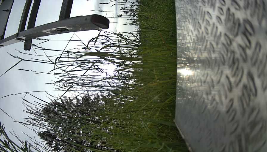 Webcam3